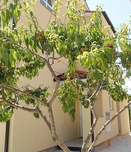 דירה Apartment Una פולה